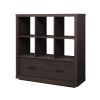 Steele 6 Cube Storage Bookcase Organizer with Drawers;  Multiple Finishes